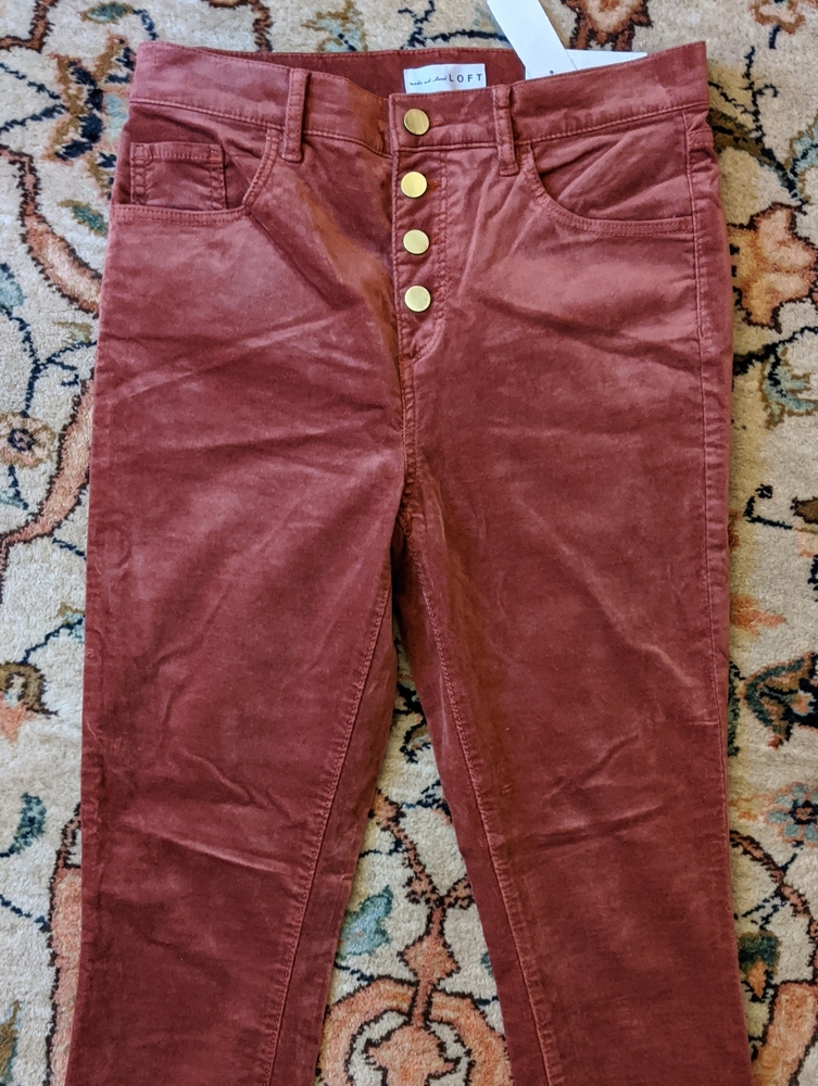 NWT Loft 6 velvet pants
